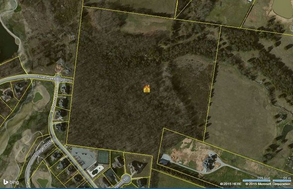 Horn Springs Road: Horn Springs Road, Lebanon, TN 37087